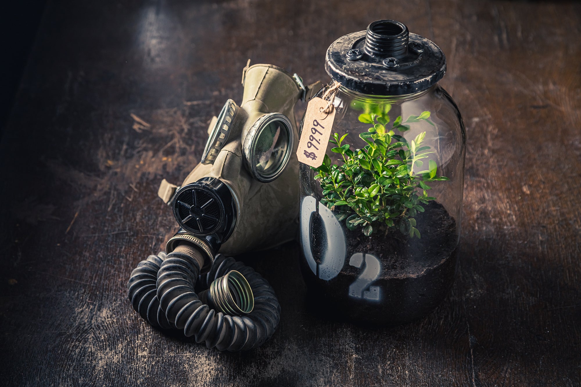 A Climate Change Lament