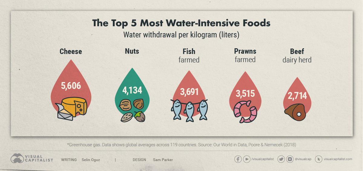 Addressing Environmental Challenges in Food Production